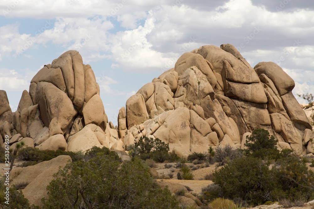 Jumbo Rocks 17 Jumbo Rocks 17