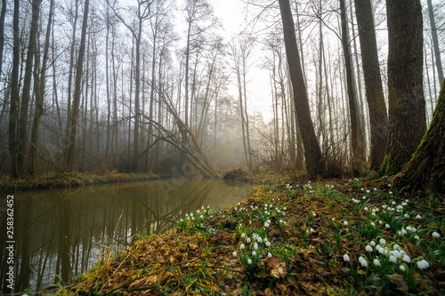 Robecsky potok river in Peklo valley photo