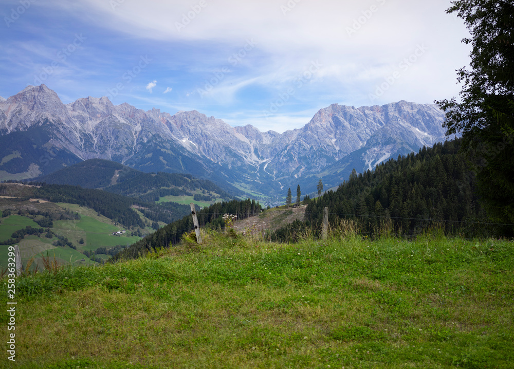 maria alm maria alm