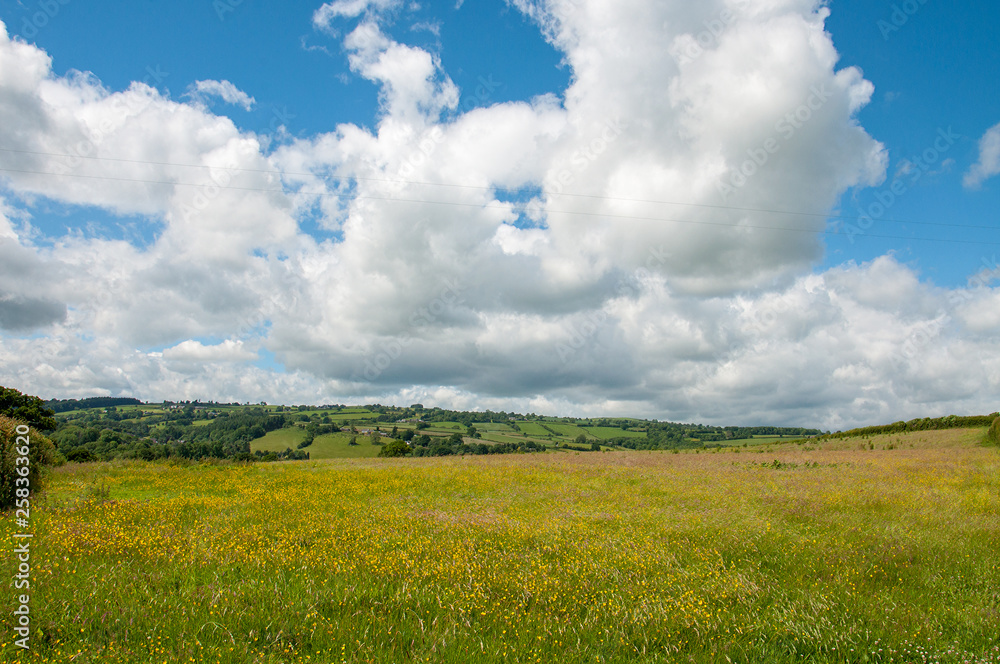 Summertime landscape near Hergest ridge, England and Wales.