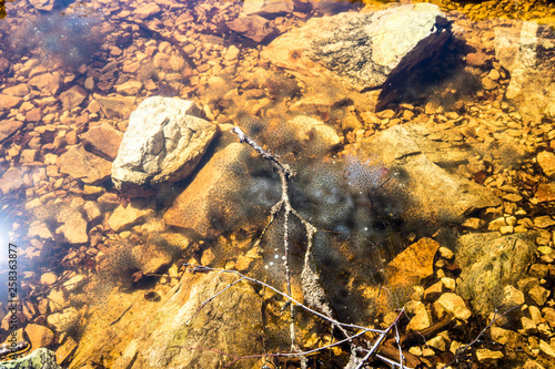 Asturias  Spain. The Laguna Fonda or Honda  Deep Lake  in the Muniellos Nature Reserve  Reserva natural integral 