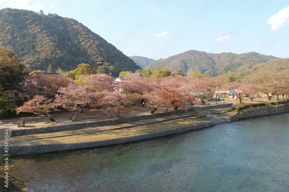 Fototapeta premium Nishiki river in Iwakuni (Japan)