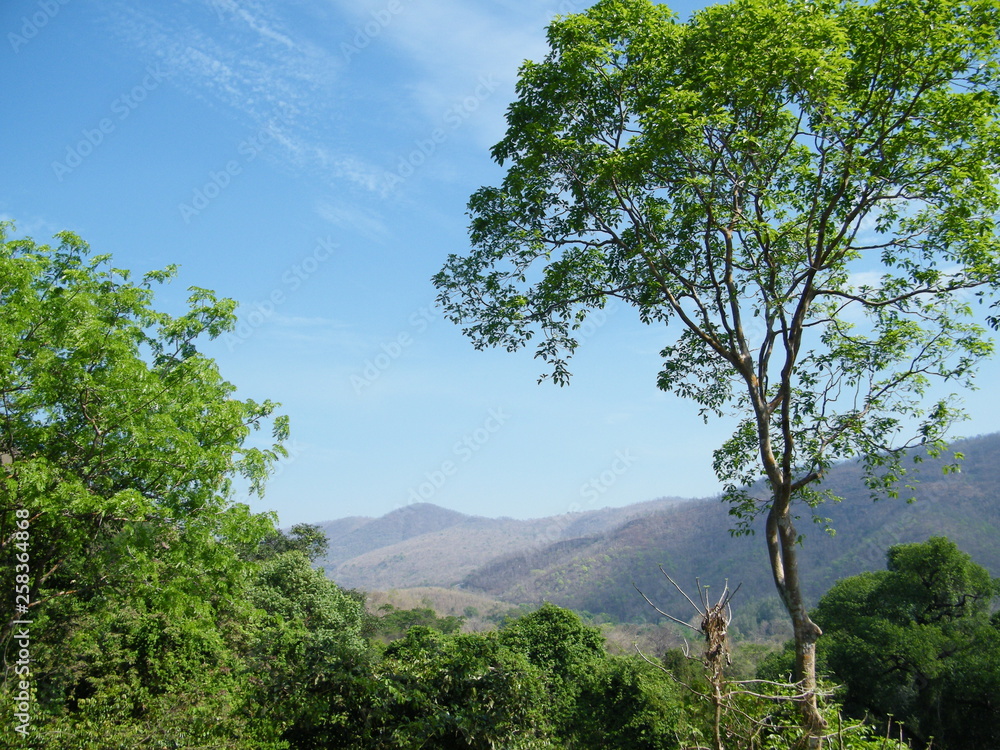 Fototapeta premium Amazing Landscapes of India, Views of India