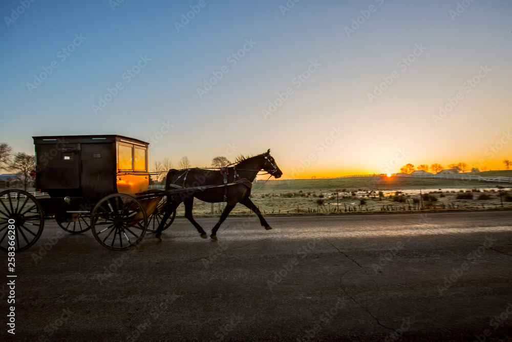 Amish Horse and Buggy at Dawn