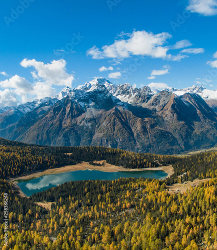 Alpine lake and forest in mountain. Palù lake in Valmalenco (Valtellina, Italian Alps)