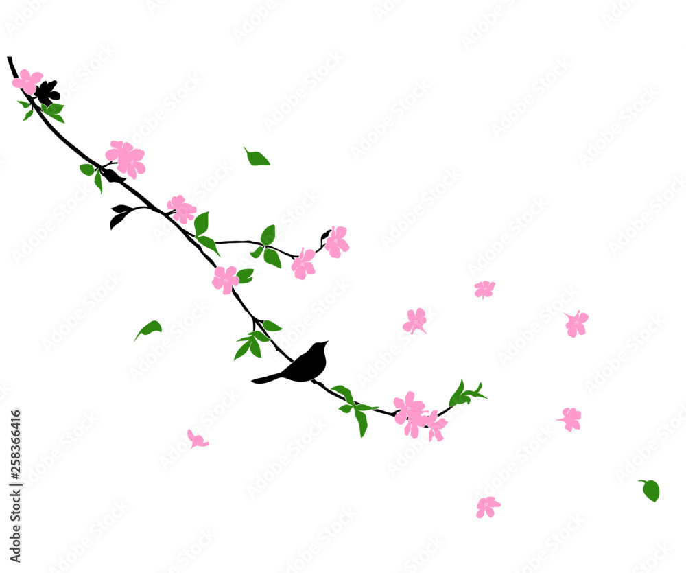 Naklejka Wektor na białym tle gałąź wiśni z różowymi kwiatami. Na białym tle grafika na białym tle.