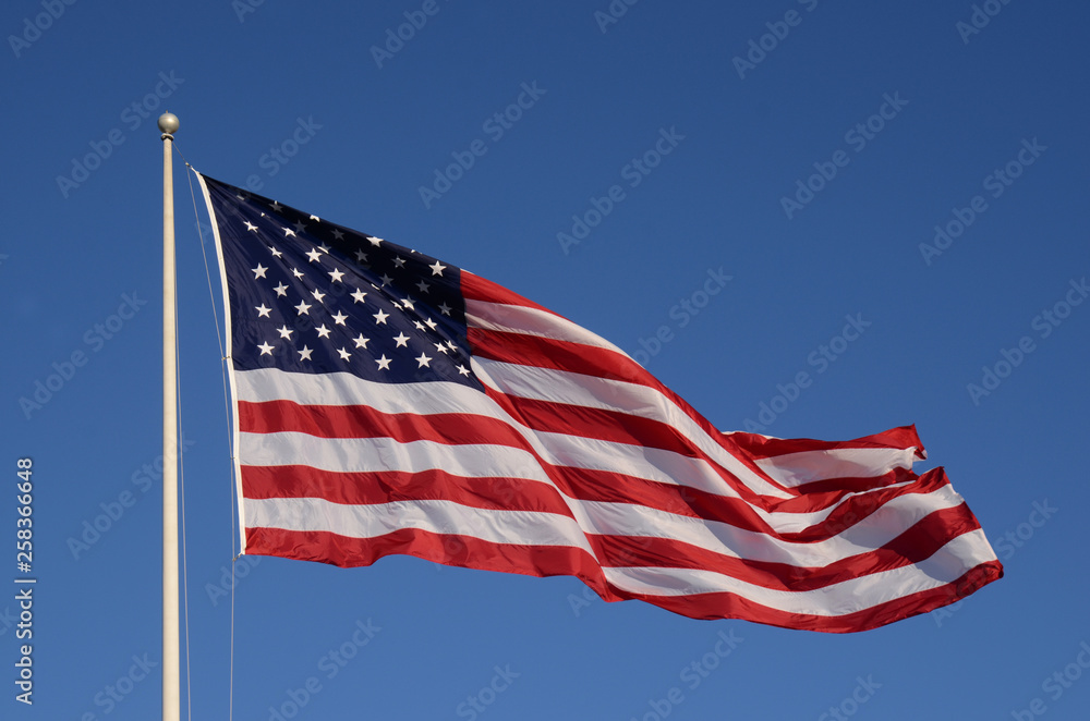 Fototapeta premium AMERICAN FLAG