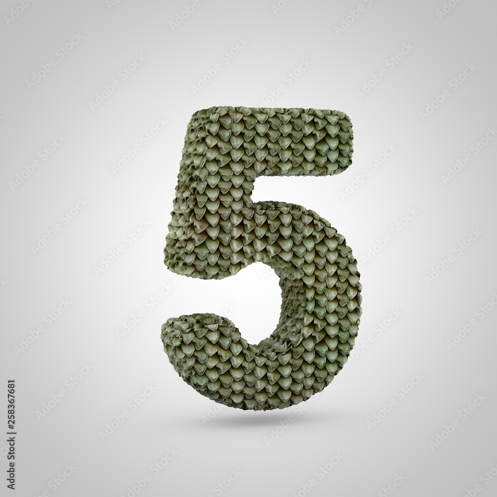 Volumetric dragon skin number 5 isolated on white background. Volumetric dragon skin number 5 isolated on white background.