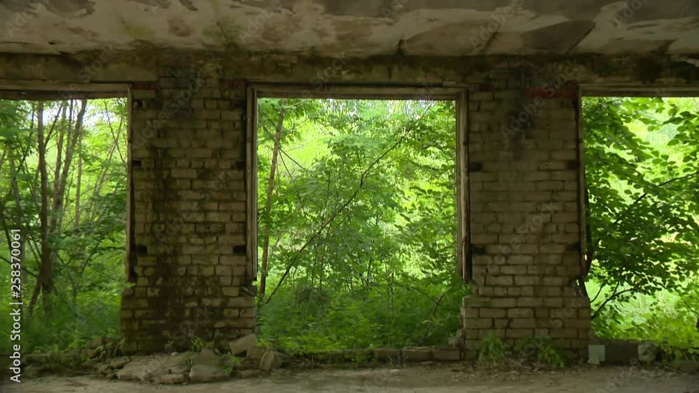 ruins of an abandoned brick house and trees growing outdoor. ruins of an abandoned brick house and trees growing outdoor.