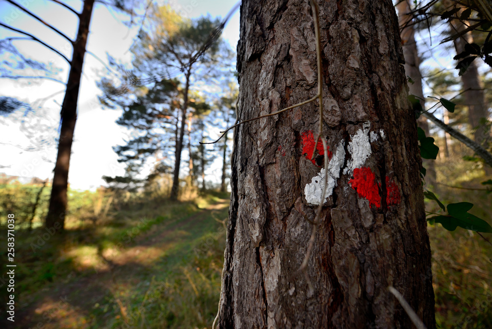 Painted mark of the white and red colors that mark the road GR 