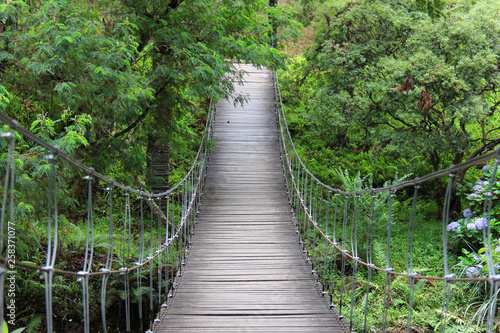 Bridge to tranquility