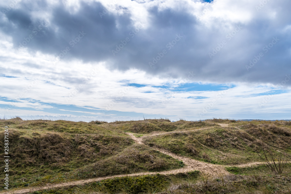 Grassy sand dunes with blue sky and clouds