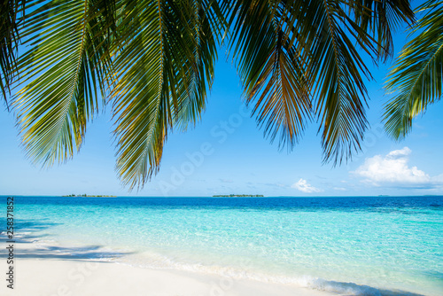 Fototapeta Naklejka Na Ścianę i Meble -  Wave of tropical sea beach on white sand with coconut leaf edge frame.