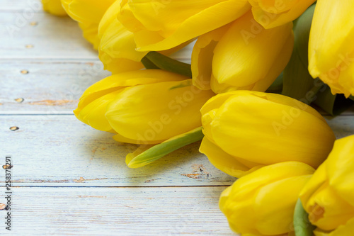 Bouquet of yellow tulips on a blue wooden background.