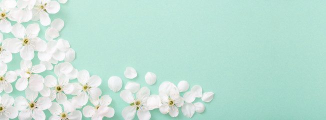 cherry flowers on paper background
