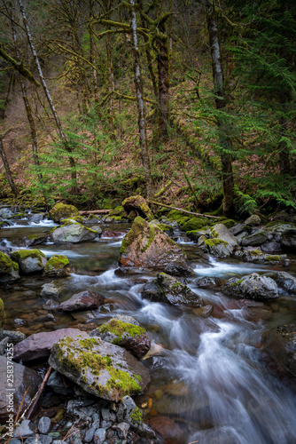 Rocky Brook Washington State