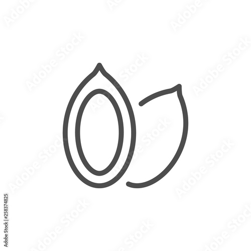 Pumpkin seeds line icon