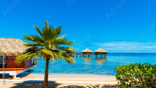 View of the Water Bungalow in the lagoon Huahine, French Polynesia with clear turquoise calm Ocean . Copy space for text.