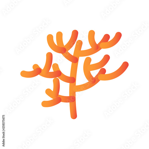 Vector illustration of underwater seaweed in flat style. Orange alga plant isolated on white background for logotype, card, design concept, mobile app. photo