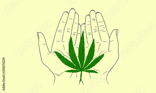 Vector sketch illustration - female hands holding a cannabis leaf