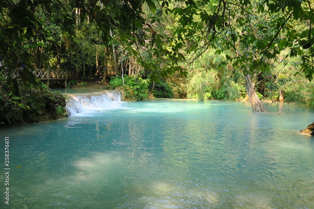 Naklejka premium Chute d'eau dans jungle 
