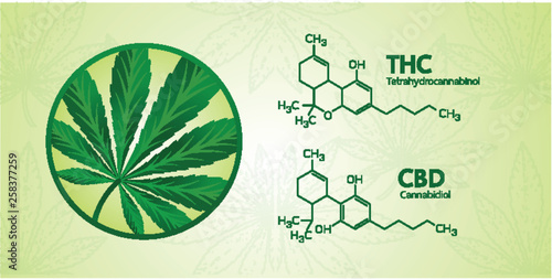 Cannabis benefits for health vector illustration.