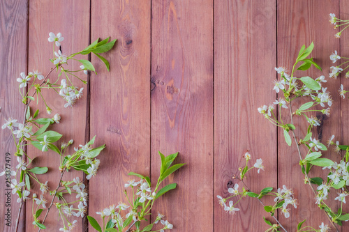 Flat lay composition with spring white flowers on a wooden background © maria_lh