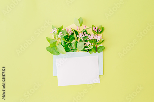Mockup white greeting card and envelope with branches and green leaves on a green background