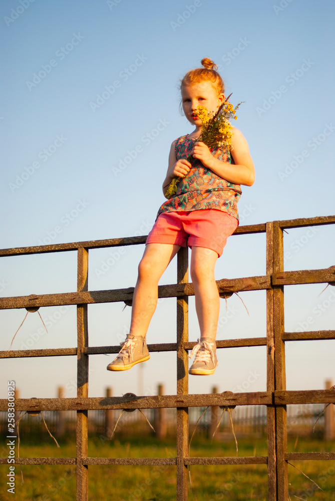 Fototapeta premium a child, a girl climbs a wooden fence in the village.