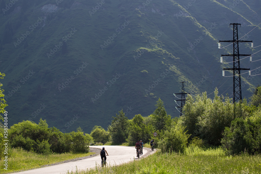 Fototapeta premium A group of cyclists going to the mountains on the road