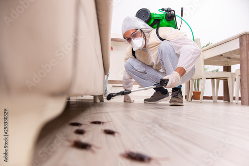 Pest control contractor working in the flat photo