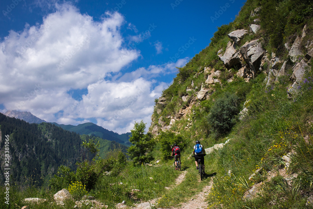 Fototapeta premium Cyclists going to the mountains on the road. Active weekend outdoors