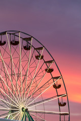Fotobehang Koraal Reuzenrad bij gouden zonsondergang  © Freelancer