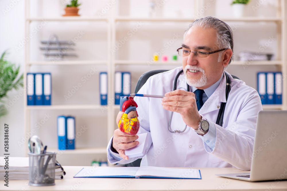 Aged male doctor cardiologist with heart model Aged male doctor cardiologist with heart model