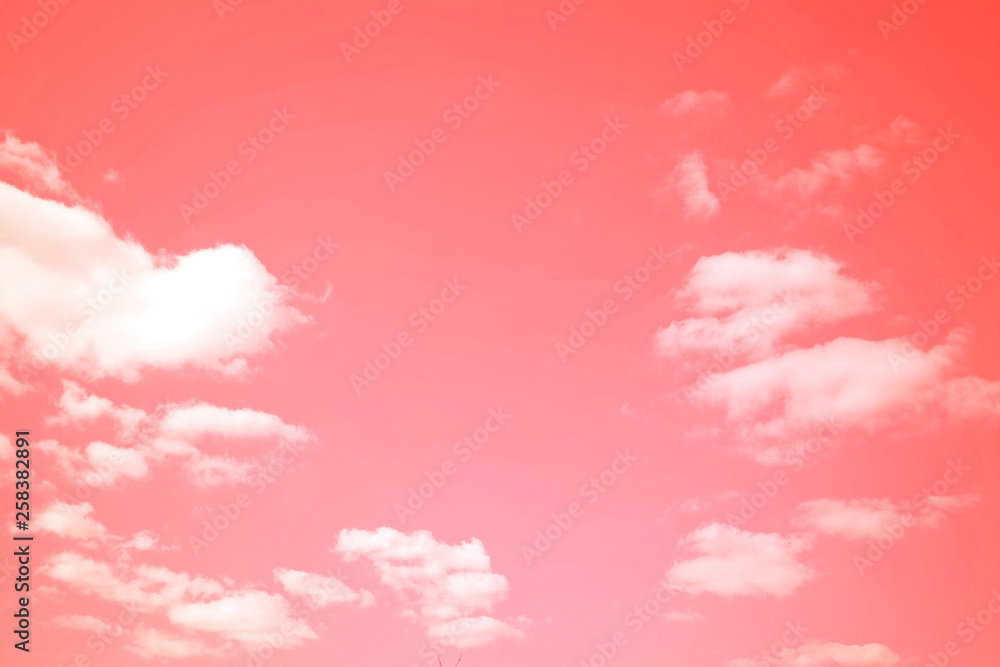 Beautiful pink clouds. Pink sky.