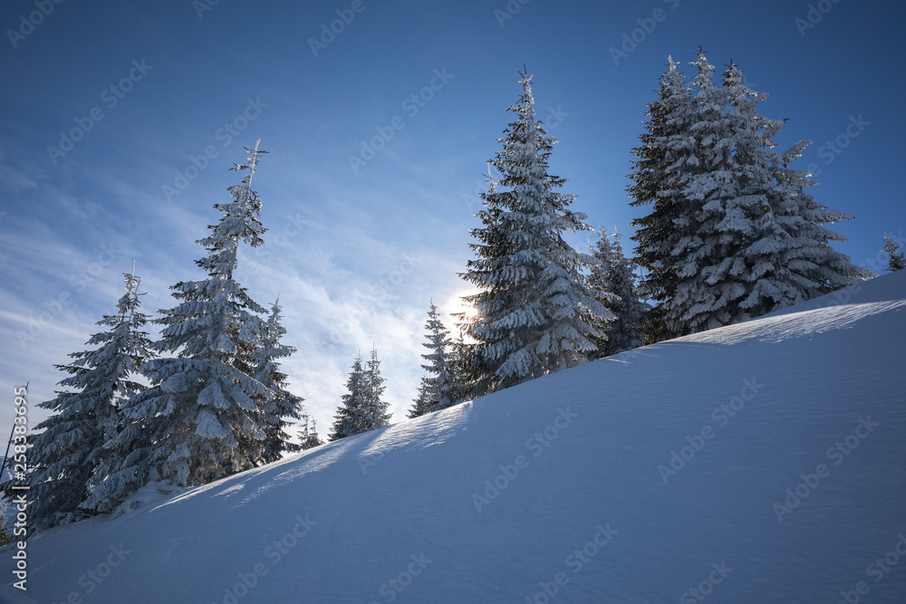 winter slope winter slope