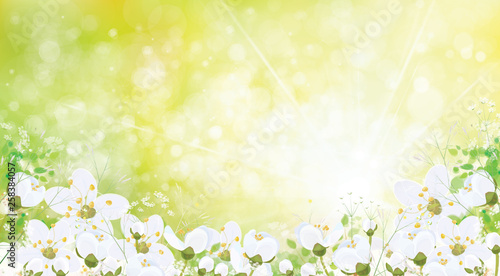 Vector spring floral background.