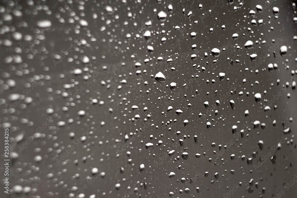 Fototapeta premium drops of water on the surface