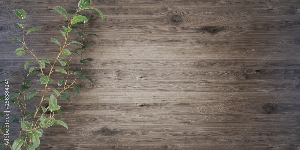 Dark wood background with a plant 3D illustration Dark wood background with a plant 3D illustration