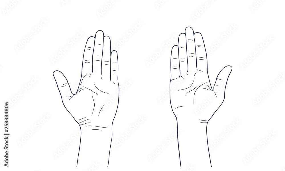 Fototapeta premium Vector sketch illustration - women's hands.