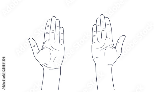 Vector sketch illustration - women's hands.