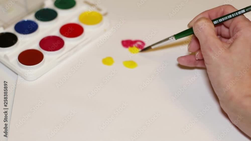 Woman artist painting watercolor paints flowers. The artist the painting close up of a brush on paper. Art Studio brushes and watercolor paintings. Woman artist painting watercolor paints flowers. The artist the painting close up of a brush on paper. Art Studio brushes and watercolor paintings.