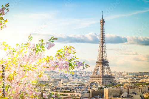 eiffel tour and Paris cityscape © neirfy