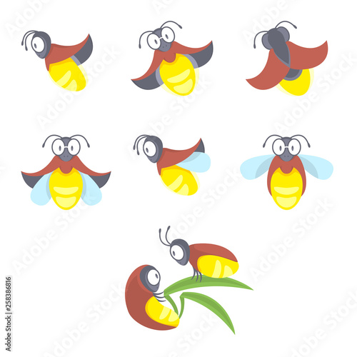 Insect beetle firefly. Vector set of eight simple cartoon drawings with different angles and elements.