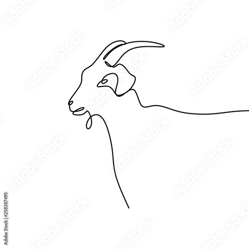 goat continuous line drawing