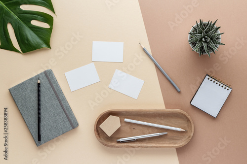 workspace notepad business card pencil notes bowl plant monstera top view with copy space for your text. flat lay. 