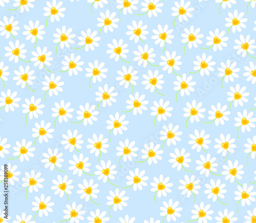 floral seamless pattern white daisy flower on blue background vector