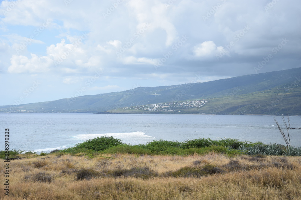 Obraz premium La Pointe au sel, La Réunion