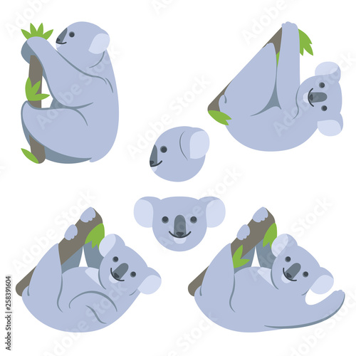Koala on the branch with green leaves. Koala hangs on a tree, scrambles, waves his paw, smiling. Set of simple cute vector illustrations of an animal, on a transparent background. Different poses.