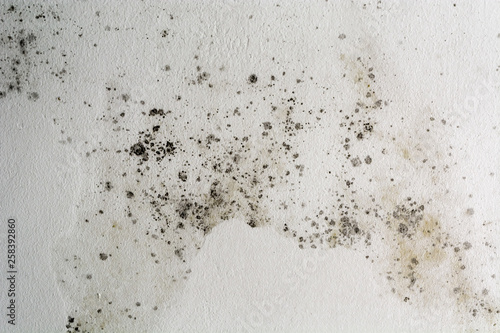 Black spots of toxic mold and fungus bacteria on a white wall. Concept of condensation, damp, water infiltration, high humidity and respiratory problems. photo